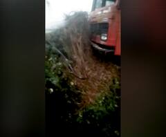 स्टेरिंग रॉड तुटल्याने एसटी बांधावर चढली | Buldhana | ABP Majha