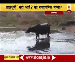 Waldhuni River | वालधुनी नदी आहे? की रासायनिक नाला? | अंबरनाथ | ABP Majha