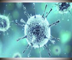 এবার কলকাতাতেও নোভেল করোনাভাইরাসের আতঙ্ক, চিনে মৃত্যু ছাড়াল ১০০ -- বাছাই করা সেরা খবর ‘হেডলাইন‍্‍স ফটাফট’