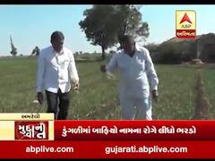 મુદ્દાની વાતઃ રવિ પાકને લાગ્યું રોગનું ગ્રહણ, જુઓ અહેવાલ