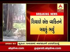 ભાવનગરઃ પબ્લિક ગાર્ડમાં ઘૂસી ગયું શિયાળ, એક વ્યક્તિને ભરી લીધું બચકું, જુઓ વીડિયો