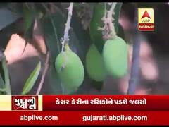 મુદ્દાની વાતઃ કેસર કેરીના રસિકોને પડશે જલસો, જુઓ અહેવાલ