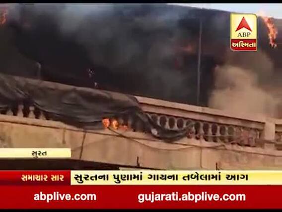 સુરતઃ પૂણા વિસ્તારમાં ગાયોના તબેલામાં લાગી ભીષણ આગ, જુઓ વીડિયો