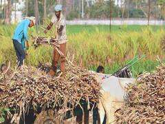 ગુજરાત સરકારે ખેડૂતોને આપ્યા રાહતના સમાચાર, જુઓ વીડિયો