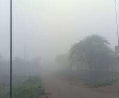 Fog | औरंगाबादसह वाशिम, हिंगोलीत धुक्याची चादर | ABP Majha