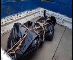 নাদনঘাটে হোটেল থেকে উদ্ধার কিশোরের পচাগলা দেহ, আটক দুই মালিক ও নাবালক কর্মী 