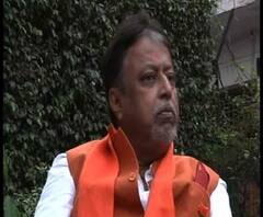 কৃষ্ণগঞ্জের বিধায়ক খুনের ঘটনায় স্বস্তি মুকুলের, এপ্রিল মাস পর্যন্ত গ্রেফতার নয়, নির্দেশ আদালতের