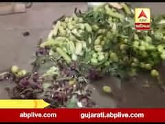સુરતઃ મનપાના અધિકારીઓએ વરાછામાં શાકભાજી લારીમાંથી નીચે ફેંકી દીધી, જુઓ વીડિયો