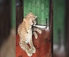 Village News | माझं गाव माझा जिल्हा | राज्याच्या कानाकोपऱ्यातील बातम्यांचा आढावा | ABP Majha