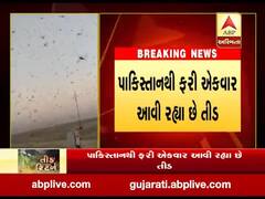 બનાસકાંઠામાં ફરી તીડનો ખતરો, જુઓ વીડિયો