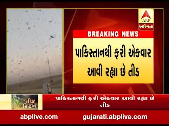 બનાસકાંઠામાં ફરી તીડનો ખતરો, જુઓ વીડિયો