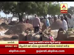 અમરેલીઃ સાવરકુંડલા માર્કેટિંગ યાર્ડમાં ખેડૂતો સાથે ઉઘાડી લૂંટ, જુઓ વીડિયો