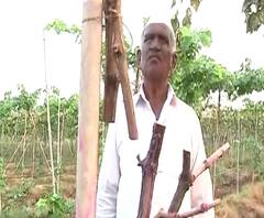 Farmers on Grape loss | अज्ञातांकडून शेतकरी बब्रुवान राऊतांचं लाखोंचं नुूकसान, एका रात्रीत 1400 वेली तोडल्या | ABP Majha 