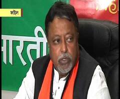 রেলবোর্ডে সদস্যপদ পাইয়ে দেওয়া সংক্রান্ত প্রতারণা মামলায় পরবর্তী নির্দেশ না পাওয়া পর্যন্ত গ্রেফতার নয় মুকুল রায়কে, জানাল আদালত