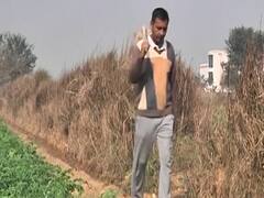 Special Report: किसानों ने अब बच्चों के हिस्से का दूध बेचना क्यों शुरू कर दिया ? 