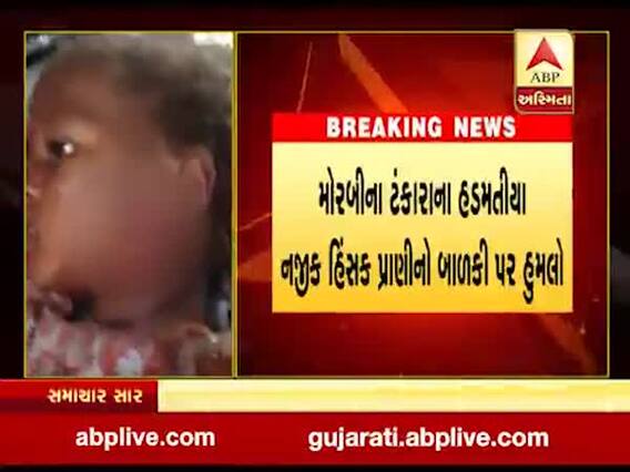 મોરબીઃ ટંકાના હડમતીયા પાસે હિંસક પ્રાણીનો બાળકી પર હુમલો