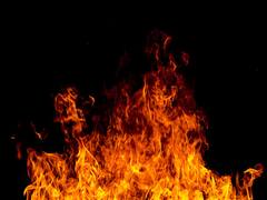 Delhi: Fire in Patparganj industrial area, 1 person dead