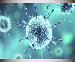 ভারতেও করোনাভাইরাস আতঙ্ক! রাজস্থানে সংক্রমণের আশঙ্কায় হাসপাতালে ভর্তি চিন ফেরত চিকিৎসক