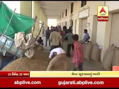 અરવલ્લીમાં ટેકાના ભાવે ખરીદાયેલી મગફળીનું ચૂકવણી બાકી રહેતા ખેડૂતો મુશ્કેલીમાં, જુઓ વીડિયો