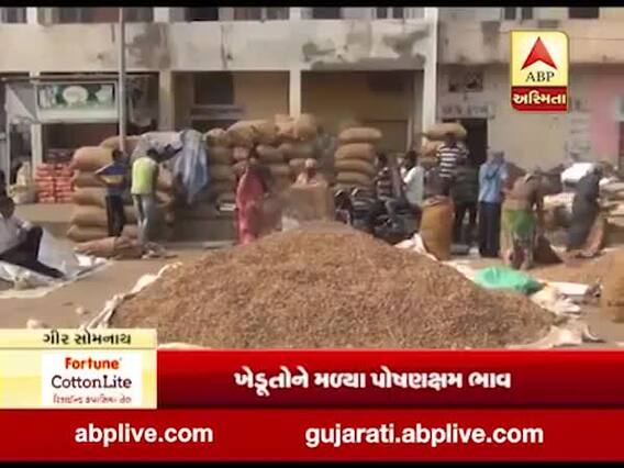 મુદ્દાની વાતઃ ગીર સોમનાથના ખેડૂતોને મળી રહ્યા છે મગફળીના સારા ભાવ, જુઓ વીડિયો