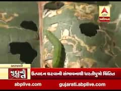 મુદ્દાની વાતઃ એરંડાના પાકમાં ઇયળોનો આતંક, જુઓ અહેવાલ