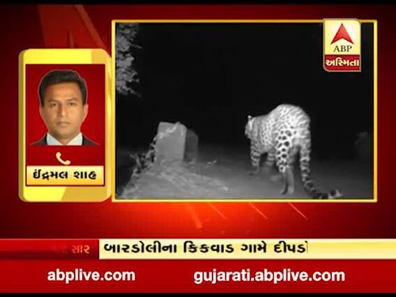 સુરતઃ બારડોલીના કિકવાડ ગામે દીપડો દેખાતા લોકોમાં ભયનો માહોલ