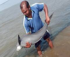 Village News | माझं गाव माझा जिल्हा | राज्याच्या कानाकोपऱ्यातील बातम्यांचा आढावा | ABP Majha