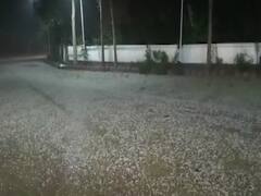 Uttar Pradesh: Heavy hailstorm, rain lash Bareilly