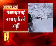 बर्फबारी में मवेशियों के लिए मुसीबत