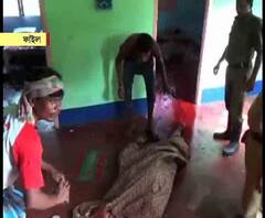 বাংলার জঙ্গিদের সঙ্গে মিলে অসমে বসেই নাশকতার ছক, বরপেটায় ধৃত জেএমবি জঙ্গিদের বিরুদ্ধে চার্জশিটে উল্লেখ এনআইএ-র