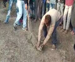 TOP 50 | गल्ली ते दिल्ली महत्त्वाच्या बातम्यांचा संक्षिप्त आढावा | बातम्यांचं अर्धशतक | ABP Majha