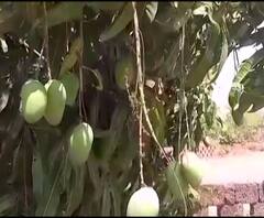 Batmya Superfast | बातम्या सुपरफास्ट | दिवसभरातील बातम्यांचा वेगवान आढावा | ABP Majha 