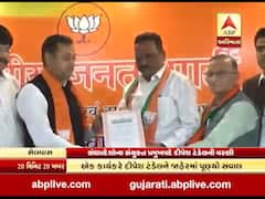 સંઘપ્રદેશના સંયુક્ત પ્રમુખપદે ભાજપે કરી દીપેશ ટંડેલની વરણી, જુઓ વીડિયો 