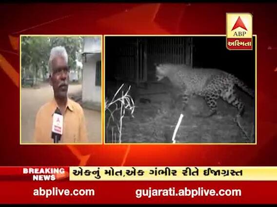 સુરતના ગ્રામ્ય વિસ્તારોમાં દીપડાની દહેશત, બે બાળકી પર હુમલો, એકનું મોત