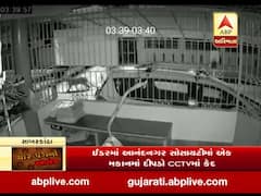 સાબરકાંઠાઃ ઇડરમાં વહેલી સવારે રહેણાંક વિસ્તારમાં જોવા મળ્યો દીપડો, જુઓ વીડિયો