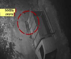 Reporter Stories: কোন্নগরে অজানা জন্তুকে খাঁচাবন্দি করতে তৎপর বন দফতর