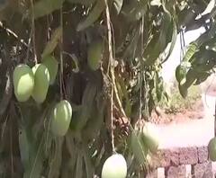 Village News | माझं गाव माझा जिल्हा | राज्याच्या कानाकोपऱ्यातील बातम्यांचा आढावा | ABP Majha