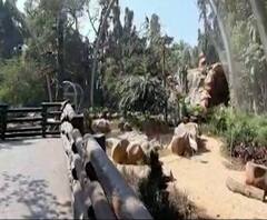 Rani Chi Baug | राणीच्या बागेत पक्षी-प्राण्यांची सहा नवी दालनं, 26 जानेवारीला मुख्यमंत्र्यांच्या हस्ते लोकार्पण