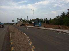 ગીર સોમનાથઃ બિસ્માર રસ્તા મુદ્દે લોકોએ નોંધાવ્યો અનોખો વિરોધ, રોડના ખાડામાં કર્યું વૃક્ષારોપણ