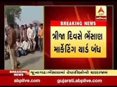 જૂનાગઢઃ ભેંસાણ માર્કેટિંગ યાર્ડ સતત ત્રીજા દિવસે બંધ, વેપારીઓના 11 લાખ ફસાયા, જુઓ વીડિયો