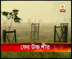 একের পর এক পশ্চিমী ঝঞ্ঝা, মাঘের শুরুতে বাড়ছে তাপমাত্রা, উত্তরবঙ্গে বৃষ্টির সম্ভাবনা