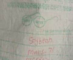 Soyabean | सोयाबीन एमएसयू-71 वाणात भेसळ, परभणी कृषी विद्यापीठातला प्रकार उघड | स्पेशल रिपोर्ट | ABP Majha