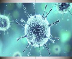 করোনা ভাইরাসে চিনে মৃত ২৫, আটকে ১৭০ জন ভারতীয় পড়ুয়া