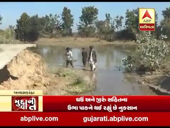 મુદ્દાની વાતઃ બનાસકાંઠામાં ખેતરો બેટમાં ફેરવાયા, જુઓ અહેવાલ