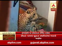 કચ્છઃ નખત્રાણામાં ઘરમાં ઘૂસ્યો દીપડો, પછી શું થયું? જુઓ વીડિયો