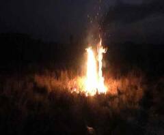 Reporter Stories: নদিয়ার চটকাতলা গ্রামে অজানা জন্তুর আতঙ্ক, গ্রামে তল্লাশি বনদপ্তরের