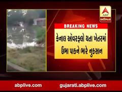 બનાસકાંઠાઃ કેનાલમાંથી પાણીનો વેડફાટ યથાવત, જુઓ અહેવાલ