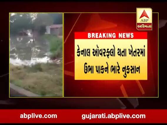 બનાસકાંઠાઃ કેનાલમાંથી પાણીનો વેડફાટ યથાવત, જુઓ અહેવાલ