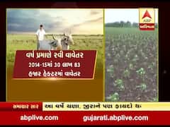 ગુજરાતમાં આ વર્ષે રવિપાકનું રેકોર્ડ બ્રેક વાવેતર, જુઓ વીડિયો