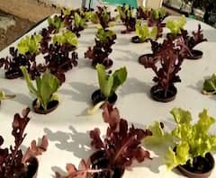 Rural News | माझं गाव माझा जिल्हा | गावाकडच्या बातम्यांचा वेगवान आढावा | ABP Majha 